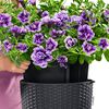 LECHUZA Hanging Planter NIDO Cottage 28 ALL-IN-ONE Granite