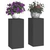 vidaXL Plant Stand 2 pcs Black 24 x 24 x 55 cm Steel