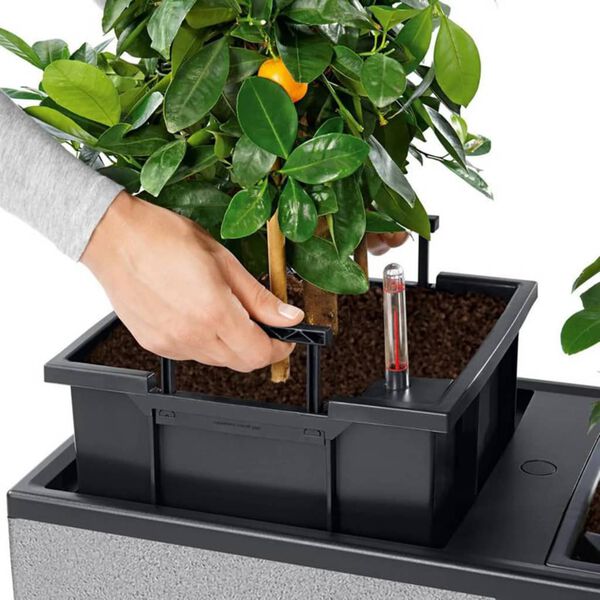 LECHUZA Planter TRIO Stone 30 ALL-IN-ONE Stone Grey