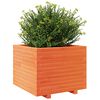 vidaXL Garden Planter Wax Brown 60x60x49.5 cm Solid Wood Pine