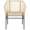 vidaXL Garden Chairs 2 pcs Brown Poly Rattan