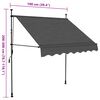 vidaXL Manual Retractable Awning with LED 100 cm Anthracite