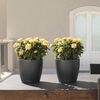 LECHUZA Planter Classico Color 28 ALL-IN-ONE Slate 13204