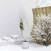 Product Thumbnail Image 5 of 12