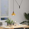 Product Thumbnail Image 4 of 11