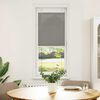vidaXL Pleated Blind Anthracite 40x150 cm Fabric Width 39.4 cm Polyester
