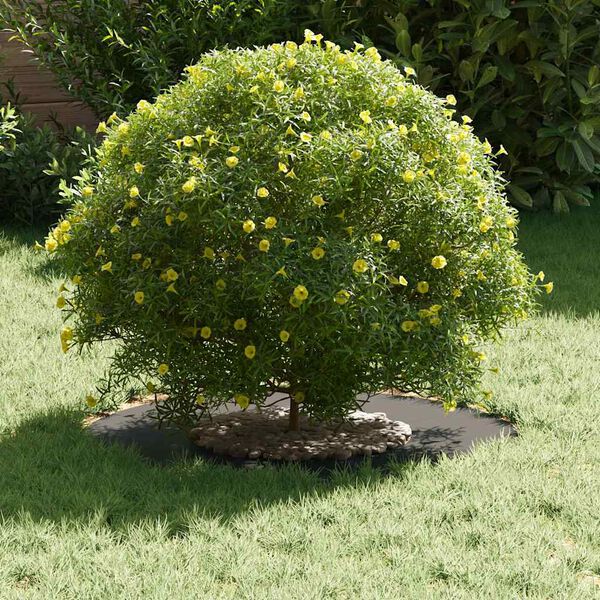 vidaXL suitable for Flat Tree Ring Black Ø30 / 60 cm Steel