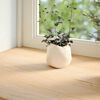 vidaXL Window Sills 2 pcs&nbsp;Untreated 160x20x2 cm Solid Wood Oak
