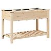 vidaXL Garden Planter Beige 115 x 59 x 76.5 cm Solid Fir Wood