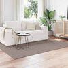 vidaXL Area Rugs Rectangular LUGO Taupe 230 x 160 cm Polyester