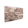 vidaXL Wall Panels 10 pcs 100 x 50 cm Brown and Grey EPS Foam