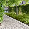 Product Thumbnail Image 2 of 8