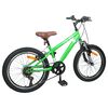 vidaXL Kids Mountain Bike 20'' 6-Speed for 5-8 Years Old Green