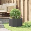 Product Thumbnail Image 4 of 10
