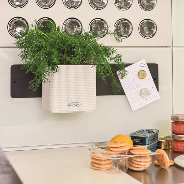 LECHUZA Planters 3 pcs Green Wall Home Kit White