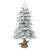 Product Thumbnail Image 3 of 5