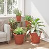 Product Thumbnail Image 4 of 12