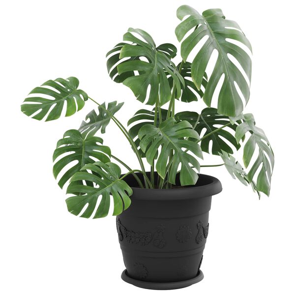 Showing Product Image 3 of 12
