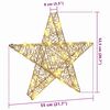 vidaXL 3D Star with 50 LEDs Warm white 55 x 52.5 x 9 cm PET