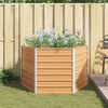 Product Thumbnail Image 4 of 12