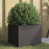 Product Thumbnail Image 2 of 11