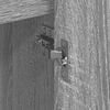Product Thumbnail Image 11 of 14