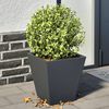 Product Thumbnail Image 2 of 12