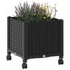 Product Thumbnail Image 3 of 8