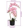 Product Thumbnail Image 5 of 5