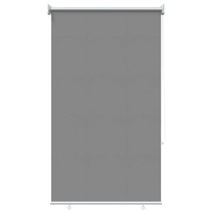 vidaXL Outdoor Roller Blind UV Protection Light Grey 60 x 230 cm