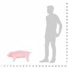 vidaXL Standing Plush Toy Pig Pink XXL