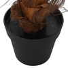 Product Thumbnail Image 5 of 6