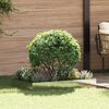 Product Thumbnail Image 2 of 8