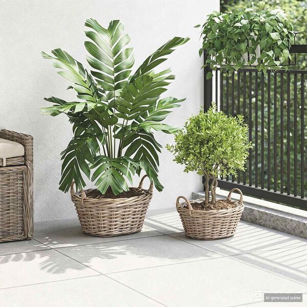 Showing Product Image 3 of 9