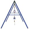 vidaXL Outdoor Swing Set with Swings. Trapeze. Ladder