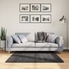 vidaXL Shaggy Rug PAMPLONA High Pile Modern Anthracite 120x120 cm