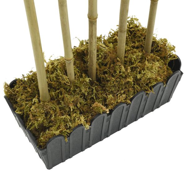 Showing Product Image 4 of 5