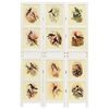 Product Thumbnail Image 2 of 7