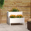 Product Thumbnail Image 2 of 7