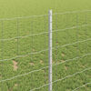 Product Thumbnail Image 4 of 7