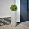 Product Thumbnail Image 2 of 13