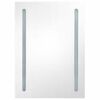 vidaXL LED Bathroom Mirror Cabinet 50x13x70 cm