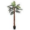 Product Thumbnail Image 3 of 6