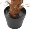 Product Thumbnail Image 4 of 5