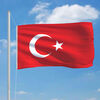 vidaXL Turkey Flag 90x150 cm