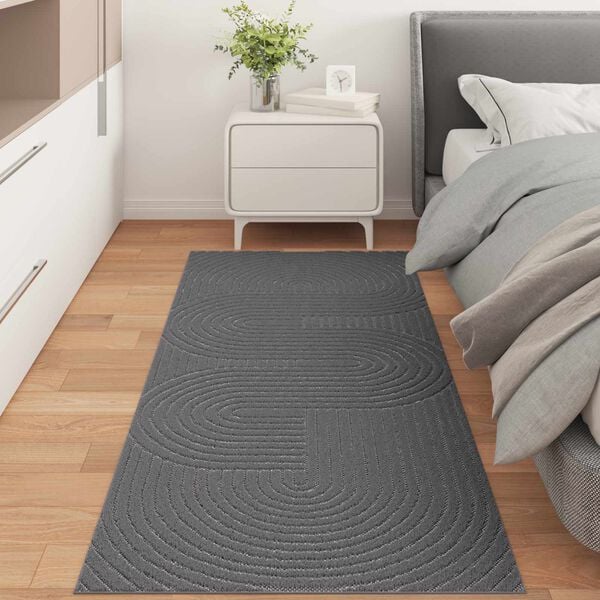 vidaXL Area Rugs Rectangular Anthracite 150 x 80 cm