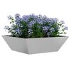 Product Thumbnail Image 3 of 13
