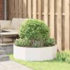 vidaXL Planter White 120 x 120 x 35 cm Steel