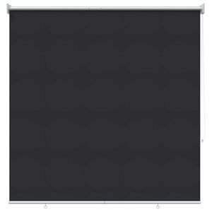 vidaXL Outdoor Roller Blind UV Protection Anthracite Polyester