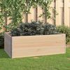vidaXL Raised Beds 3 pcs 100x150 cm Solid Pine Wood (310059)